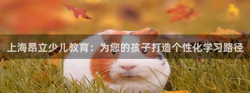 鸿运商城珠宝平台