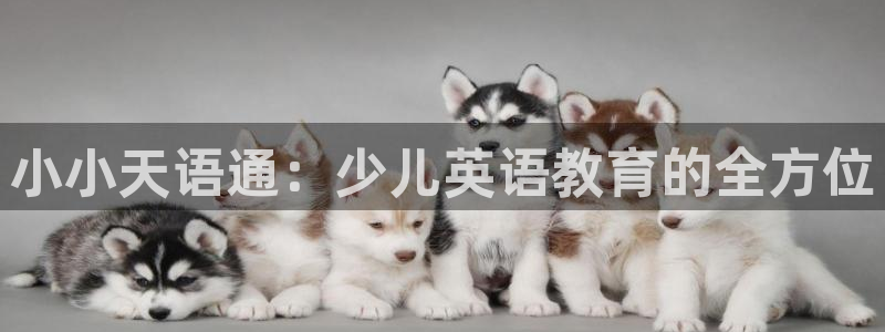 鸿运国际app平台