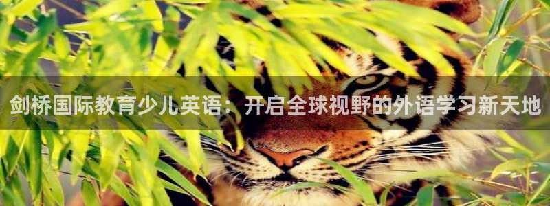 下载鸿运平台