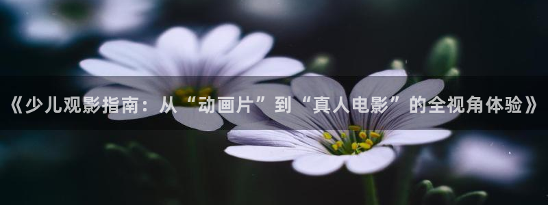 鸿运茶销售平台