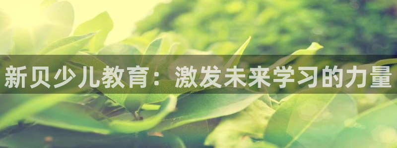 鸿运平台是干嘛的