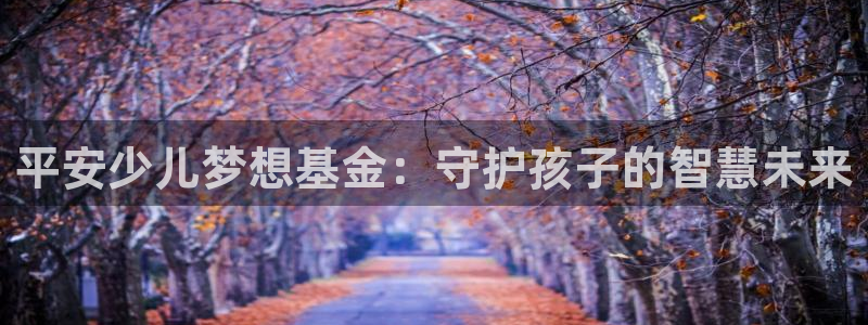 鸿运宝金融投资平台