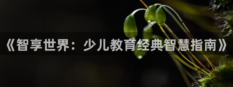 国际鸿运手机版平台