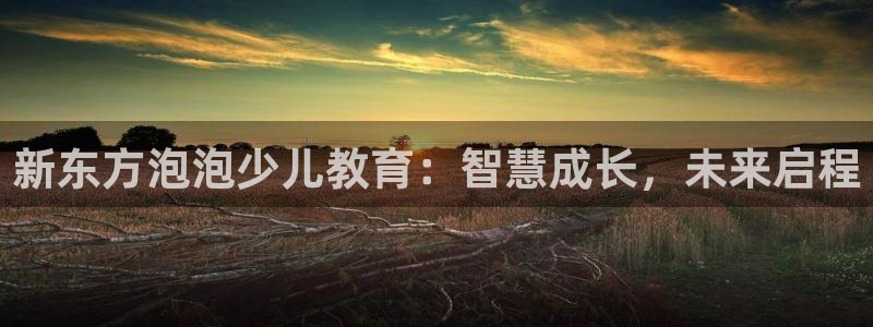 琥珀鸿运是啥平台