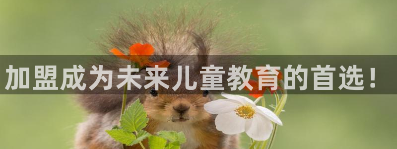 鸿运当头借款平台