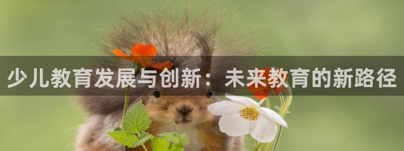 会员鸿运国际平台