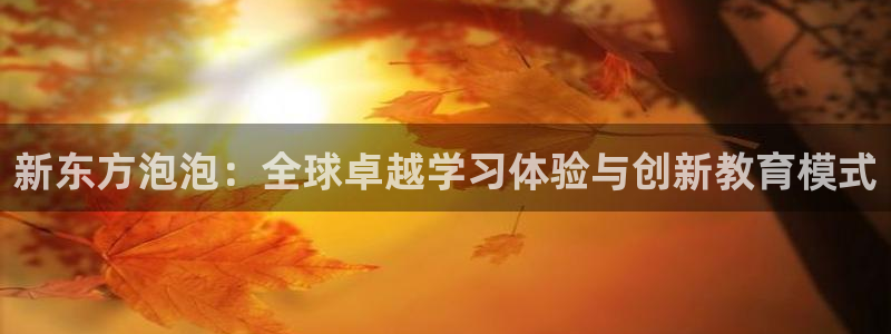 鸿运团队赚钱平台