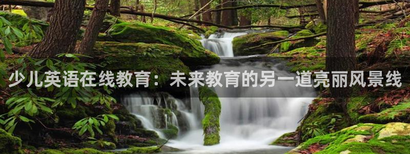 鸿运平台主管