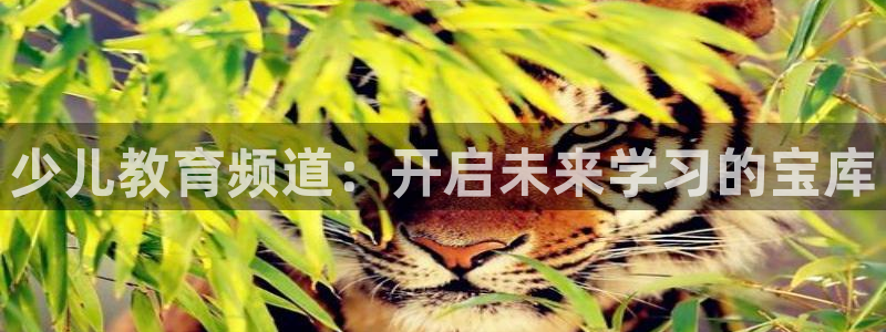 鸿运购彩平台app