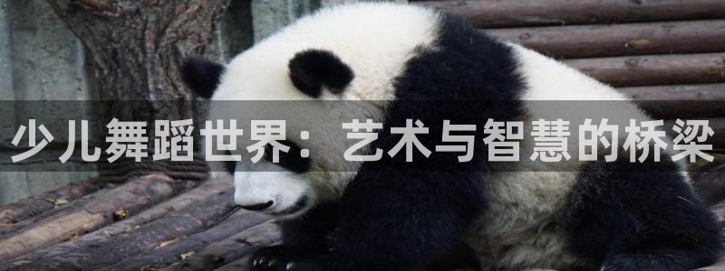 鸿运平台充值