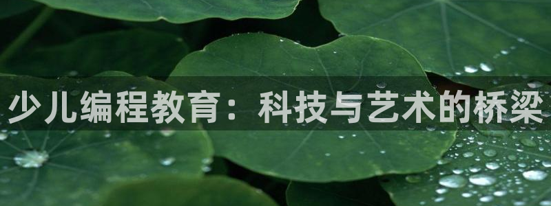 鸿运东方平台网站