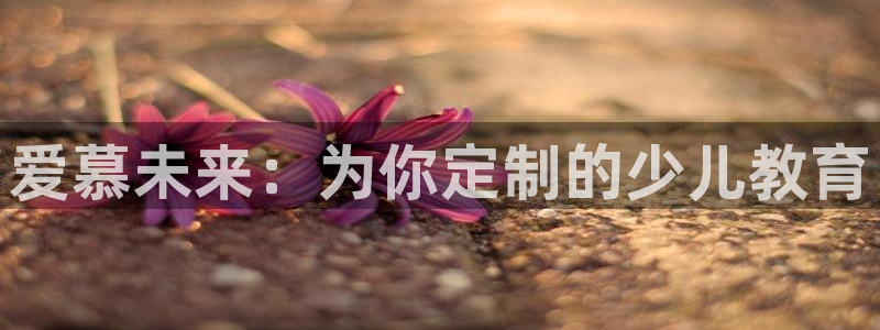 鸿运借款是什么平台