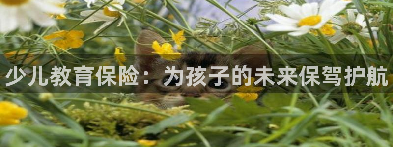 鸿运大秀平台