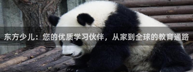 国际鸿运手机版平台