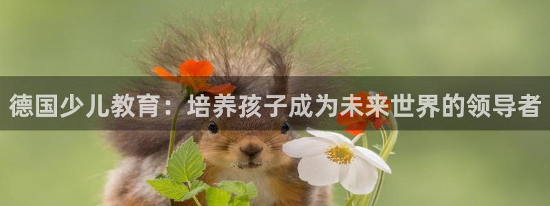 鸿运宝投资理财平台