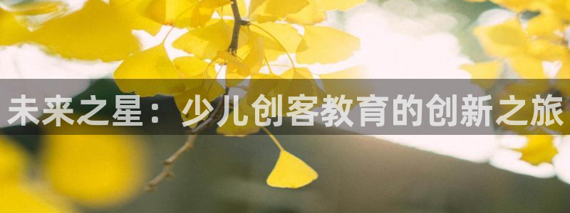 鸿运十三张充值平台