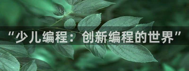 鸿运推广平台代理