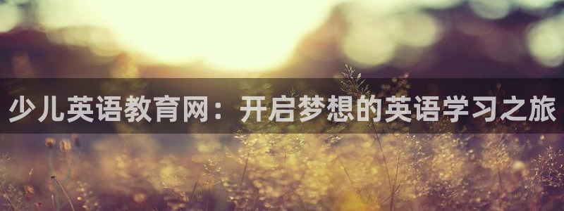 鸿运通贷款平台