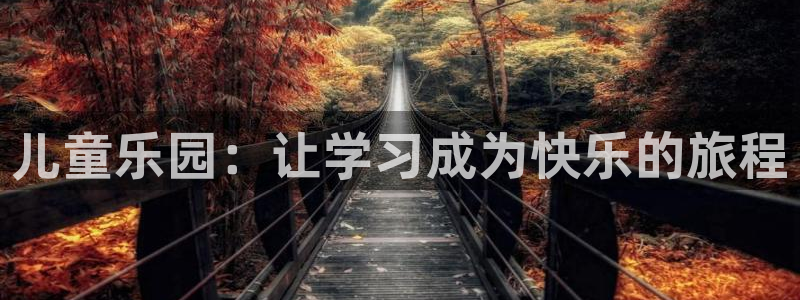 鸿运华宁技术平台