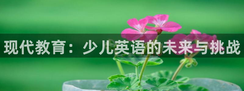 鸿运彩票平台代理