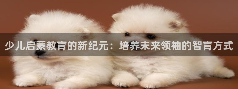 鸿运国际平台登录