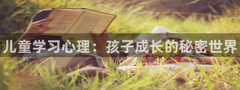 鸿运当头借款平台