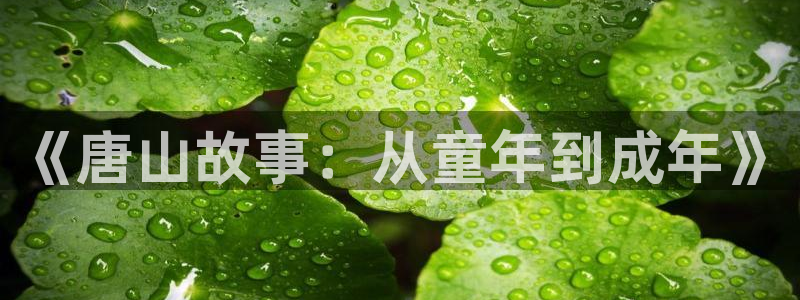 鸿运工厂直播平台