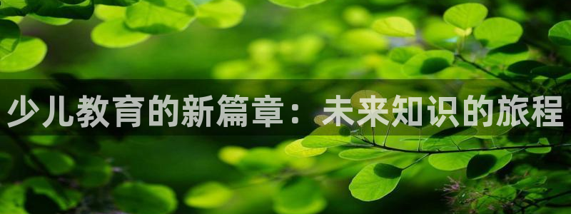 鸿运平台审核需要多久