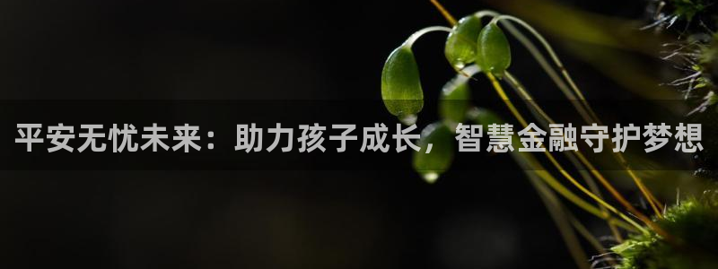 鸿运通什么平台