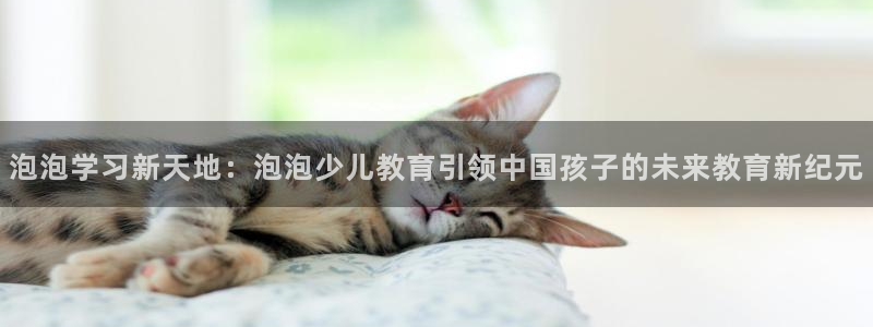 鸿运彩票网络平台下载