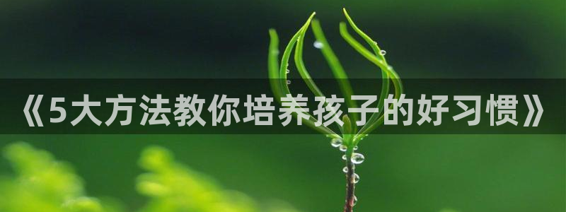 鸿运平台骗局揭秘