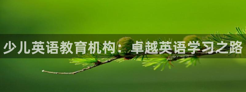 下载app鸿运平台