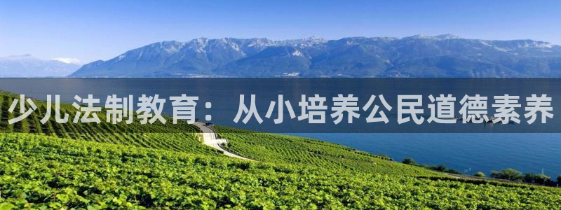 鸿运彩票平台登录不了