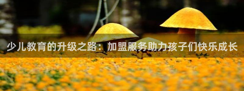 鸿运集团有几个平台