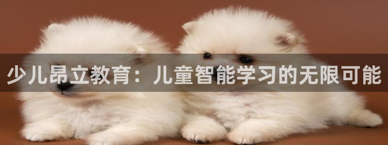 鸿运来是什么平台