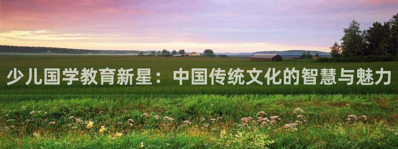 鸿运网是什么平台