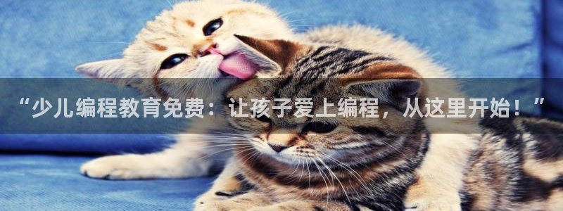 鸿运交易平台app