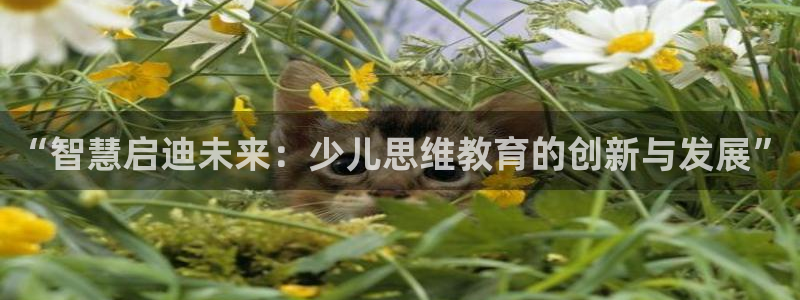 鸿运彩票专业购采平台