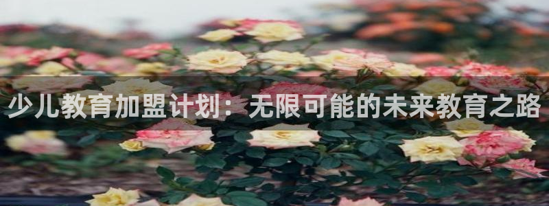 鸿运在线是什么平台