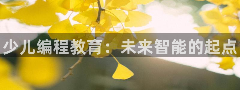 鸿运网938777平台