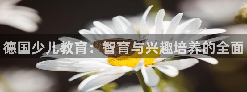 鸿运合拍是什么平台