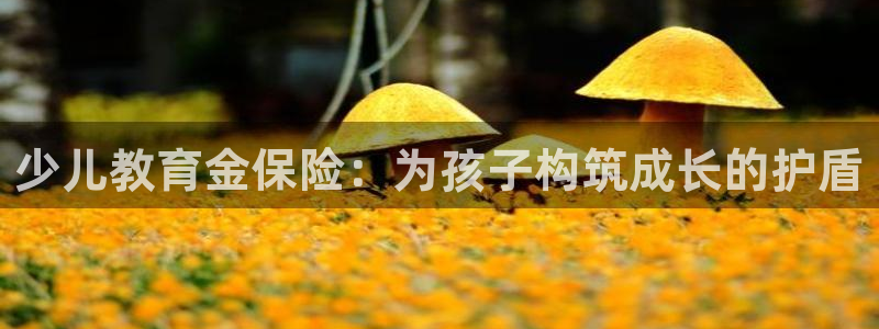 鸿运国际时时彩平台