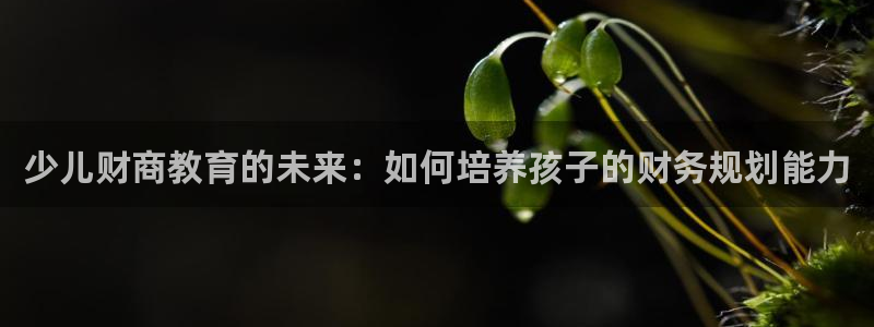 鸿运棋牌游戏平台