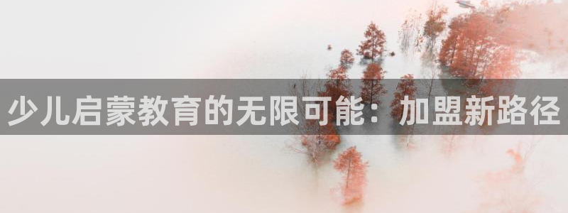 鸿运和拍拍卖平台