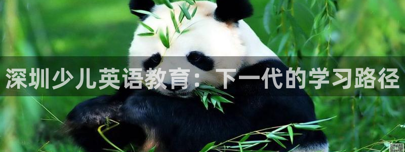 鸿运借款平台可靠吗