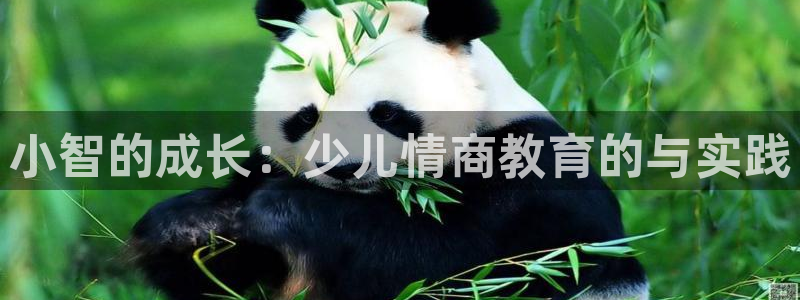 鸿运东方平台网站