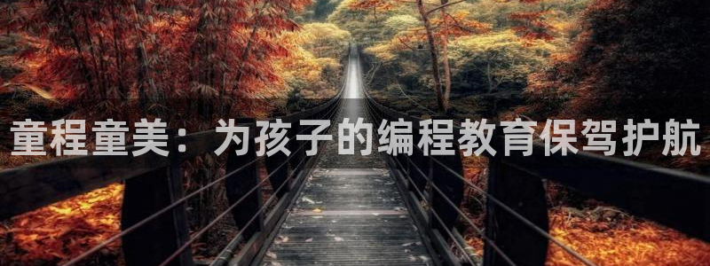 鸿运彩票网络平台官网