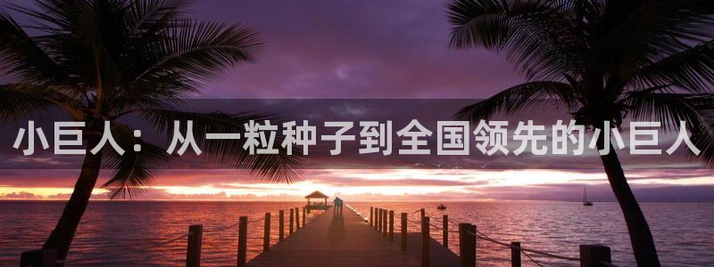 鸿运798平台