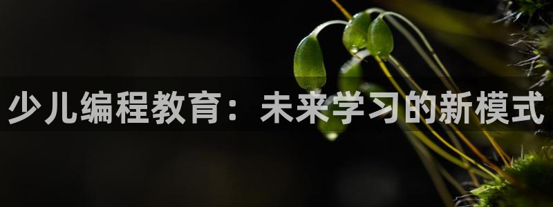怎么进鸿运彩票平台