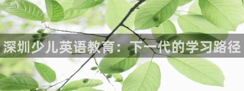 大发鸿运平台网址